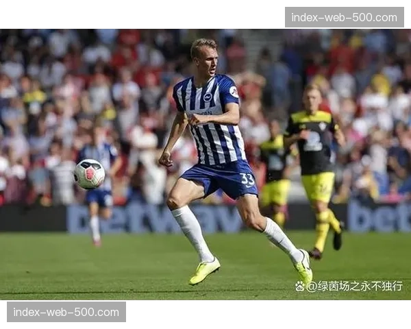 布莱顿积分榜中游稳定 赛季目标已基本达成